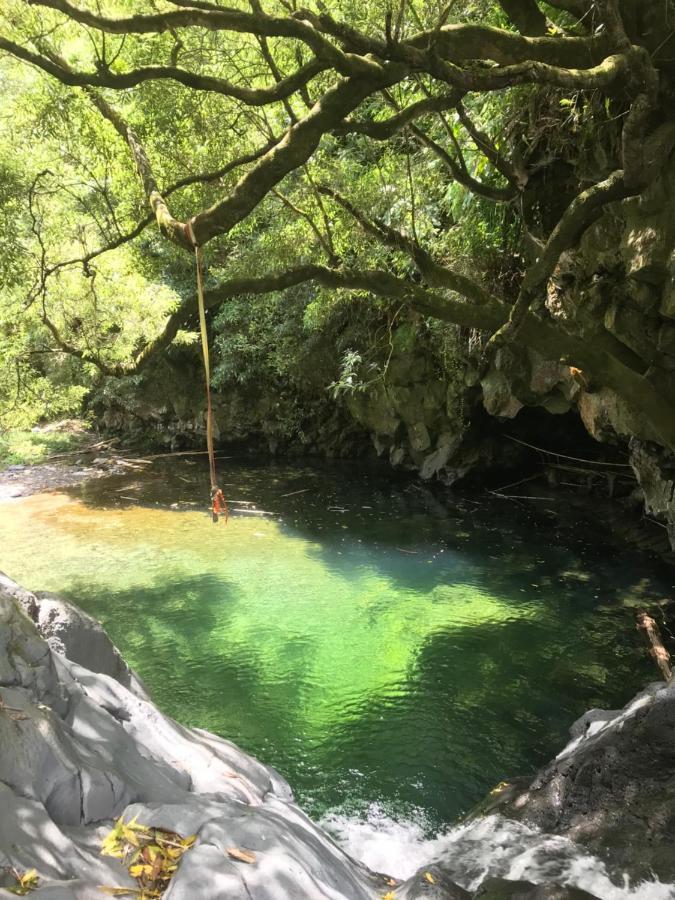 דירות Água de Alto Casa Da Cascata Do Segredo מראה חיצוני תמונה